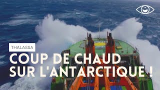 Coup de chaud sur lAntarctique  Thalassa [upl. by Pentha]