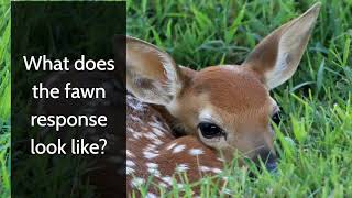 What is the Fawn Trauma Response [upl. by Olinad]