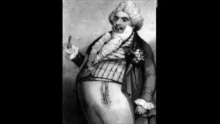 Gaetano Donizetti  DON PASQUALE  Overture [upl. by Merow]