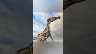 Facts you didn’t know about the Velociraptor 🦖 [upl. by Calen]