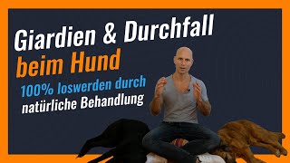 GIARDIEN amp DURCHFALL beim Hund LOSWERDEN ohne Medikamente  Natürliche Behandlung amp Futter [upl. by Ebbie734]