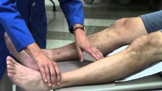 Peripheral vascular system assessment [upl. by Kentiga992]