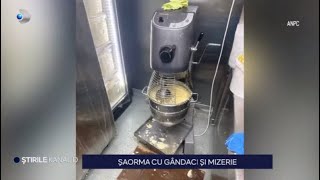 Stirile Kanal D  Saorma cu gandaci si mizerie  Editie de seara [upl. by Socher]