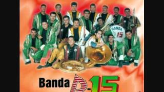 Banda R 15 Voy a Tumbar La Casita [upl. by Damha]