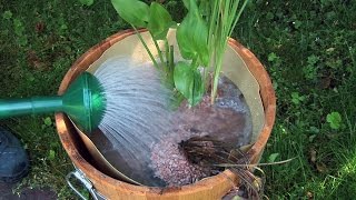 Miniteich anlegen  GartenVideoAnleitung Tipps und Tricks vom Profi [upl. by Mccready865]