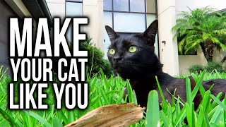 97 Ways to Make Your Cat Like You Super Cooper Sunday 245 [upl. by Kamin]