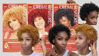 GINGER BLONDE  DIY HAIR DYE ON NATURAL HAIR  CREME OF NATURE [upl. by Aneen]