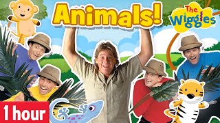 Animal Songs amp Nursery Rhymes for Kids  The Wiggles feat Crocodile Hunter Steve Irwin and more [upl. by Idurt]