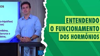 Endocrinologia da reprodução de bovinos [upl. by Ennis452]