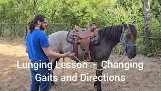 Lunging Lesson  How to start lunging a horse changing gaits and direction on the lunge line [upl. by Searle]