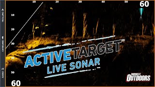 Lowrance Active Target Overview [upl. by Dryfoos]