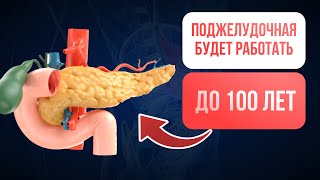 Всем кому за 50 нужно Кушать эти Продукты и ПОДЖЕЛУДОЧНАЯ Будет Работать до 100 лет [upl. by Anawd]