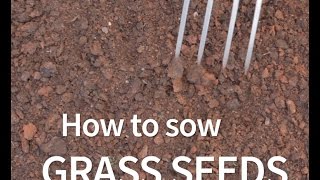 3 Uses amp Benefits of adding GYPSUM to your Garden soil [upl. by Westbrook992]