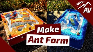 How to Build an Ant Farm  DIY Ytong Ant Nest Formicarium [upl. by Ahsiniuq768]