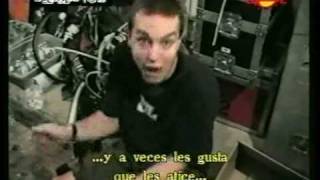 The Urethra Chronicles blink 182 Mark Hoppus Subtitulos en Español [upl. by Revolc]