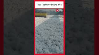 Toxic Foam Spotted in Delhis Yamuna River A Serious Health Hazard [upl. by Nede762]