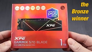 XPG GAMMIX S70 Blade 1TB Gen4 NVMe SSD Review [upl. by Salomon]