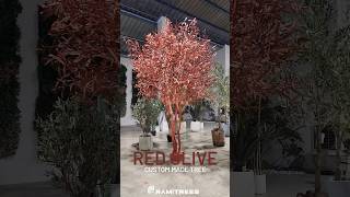 RED OLIVE  Costum made Tree [upl. by Annuahsal152]