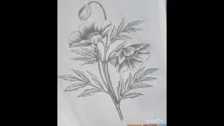 Drawing of nature composition  art like and Subscribe [upl. by Herrick]