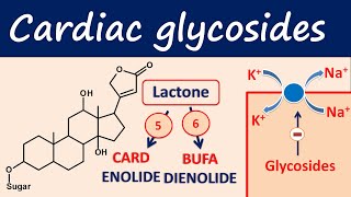 Cardiac glycosides in easy way  Digoxin digitoxin [upl. by Naihtsirc203]