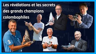 Les révélations et les secrets des grands champions colombophiles [upl. by Nissensohn794]