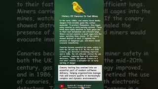 History Of Canaries In Coal Mines  Info Bytes  History  Reliability  Karthik SR [upl. by Acimat960]