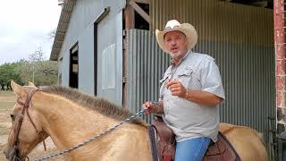 Intro to Horsemanship Clinic at the Double Spur Ranch doublespurranchcom [upl. by Nrublim915]