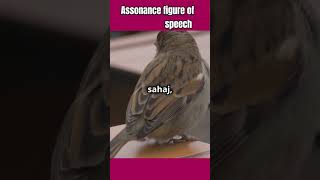 Assonance figure of speech facts vocabulory [upl. by Ylenats]