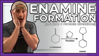 Enamine Formation Forward and Reverse Directions [upl. by Dela]