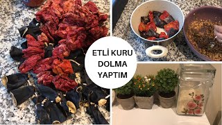 ETLİ KURU DOLMA YAPTIM  MİSAFİRİM VAR  GÜNLÜK VLOG [upl. by Evod736]