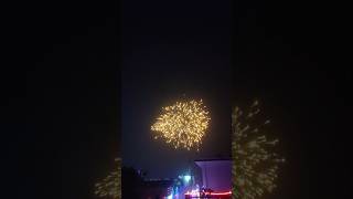 Happy Diwali 🪔🎇shortsshortvideoyoutube [upl. by Nahsin]