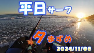 【愛知県釣り】20241106 夕マヅメ 田原サーフ＃228 [upl. by Ellerd]