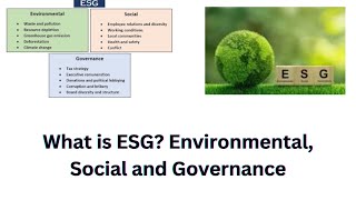 What is ESG Environmental Social and Governance [upl. by Ahsinawt]