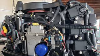 2021 DIY I Cleaned the Vapor Separator Tank VST on a Mercury Outboard EFI [upl. by Nagaer]