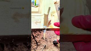 diy WoOd CrAcK repair 😉 SPECIAL tip WiTh super GlUe ad woodworking wood shorts maker [upl. by Persse]