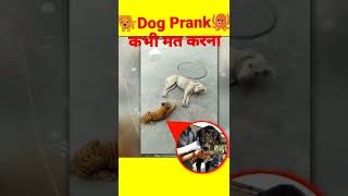 prank video🐼pranks in telugu prak buzz prank call prank videos funny SHORTS [upl. by Collins226]