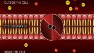 transport across the cell membrane super final [upl. by Simara144]