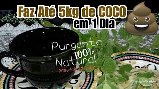 ðŸ”´LIBERA ATE 3Kg de COCO em 1 Dia ðŸµPURGANTE NATURALðŸŒ¿PODEROSO ElisangelaEvaristo [upl. by Arodaeht416]