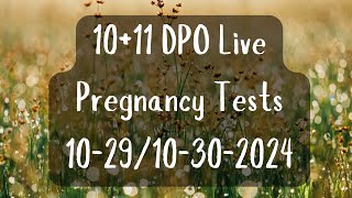 10 amp 11 DPO Pregnancy Tests October 2930 2024 [upl. by Asilehc550]