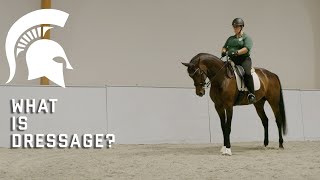 What is Dressage [upl. by Willamina]