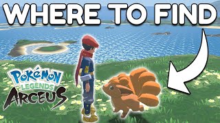 Where to find Vulpix in Pokemon Legends Arceus [upl. by Dayna]