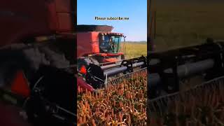 Experience a prosperous autumn harvest with Case harvesters agricultural machinery video [upl. by Yaj]