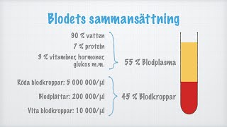 Blodets sammansättning [upl. by Diella48]