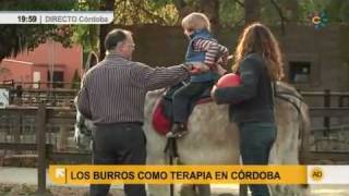 Los burros como terapia para niños autistas [upl. by Dyrrej]