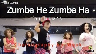 Zumba He Zumba Ha  DJ MAMS  Easy Dance Fitness Choreography  ZIN™  Wooks Zumba® Story [upl. by Ynohtn]