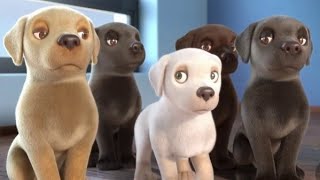 Pip  A Short Animated Film by Southeastern Guide Dogsbeauty petsGuidedog [upl. by Alviani]