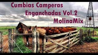 Cumbias Camperas Enganchadas 2 MolinaMix [upl. by Larsen817]