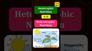 Autotrophic Nutrition vs Heterotrophic Nutrition Class 10 Chapter 1 [upl. by Esiom]