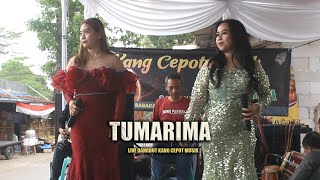 Tumarima Mah Tumarima Tapi Hate Nyeri  koploTumarima [upl. by Vickey]