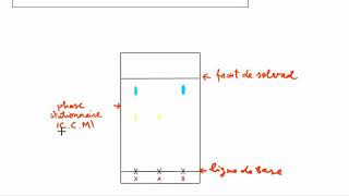 La chromatographie sur couche mince CCM [upl. by Yrollam]
